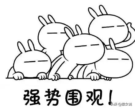 合肥各个区pk郑州,合肥是全国最漂亮的城市吗