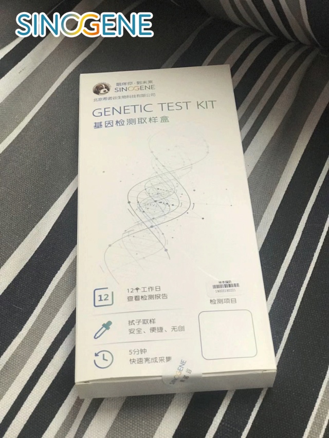 如何自己给猫咪做基因检测,猫能做基因检测吗