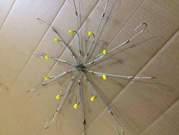 大快人心，“可视锚鱼”的*力暴**捕鱼方式，在长江被捕