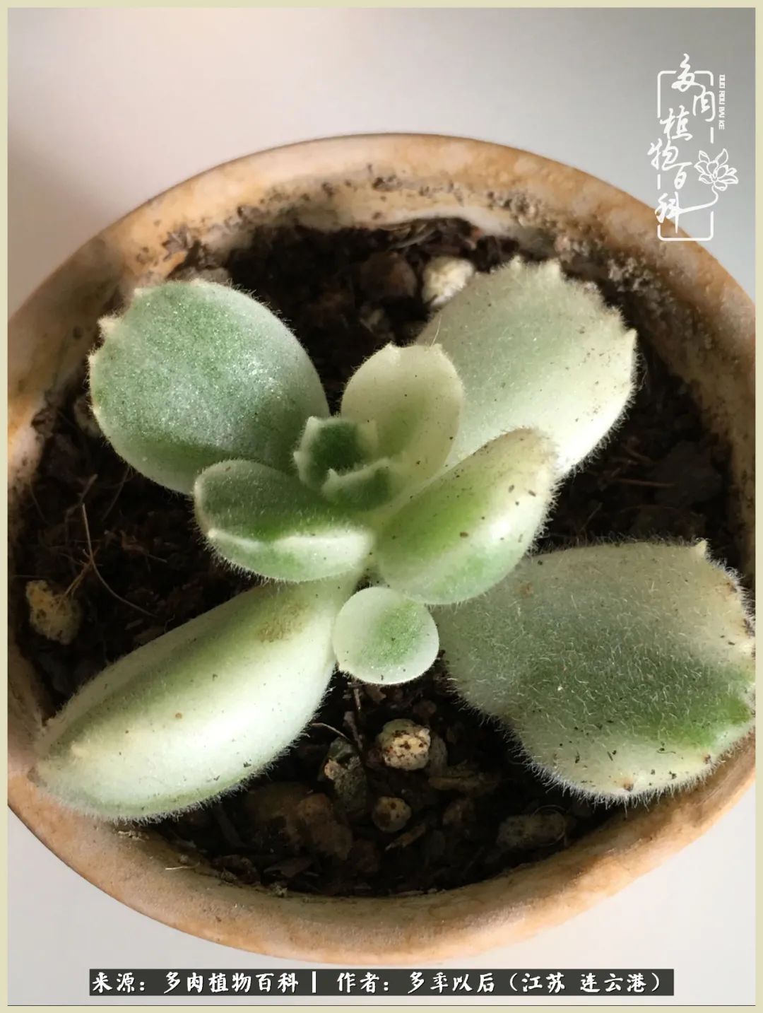 多去花前谈以后，少来月下忆当年