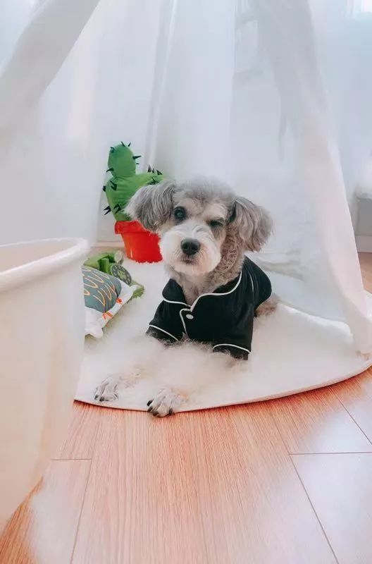 李妍现在怎么样了,李妍是一个怎么样的人