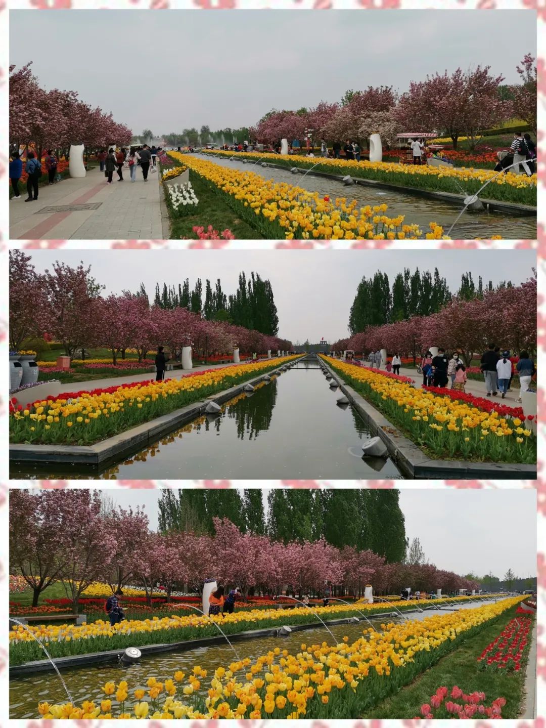 假装在国外北京篇,假装在荷兰完整视频