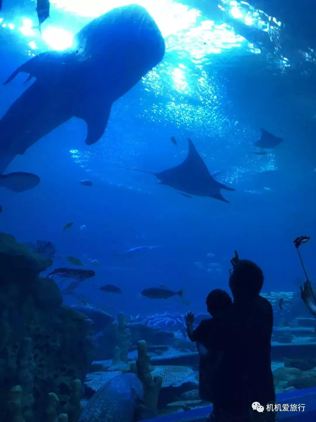 珠海和广州长隆旅游攻略,珠海长隆乐园游玩攻略