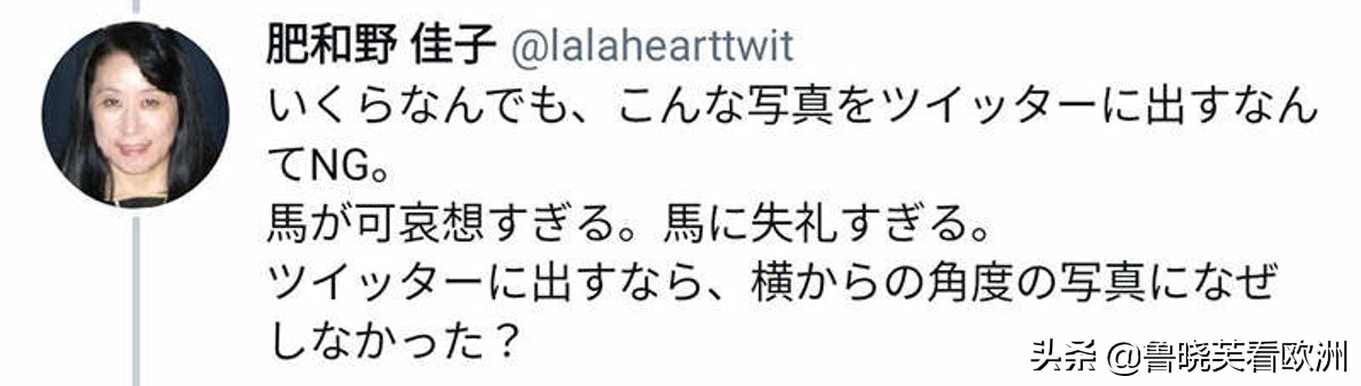 日本兽医公开马儿照CT，*处私**全曝光，网民争议：没有马权
