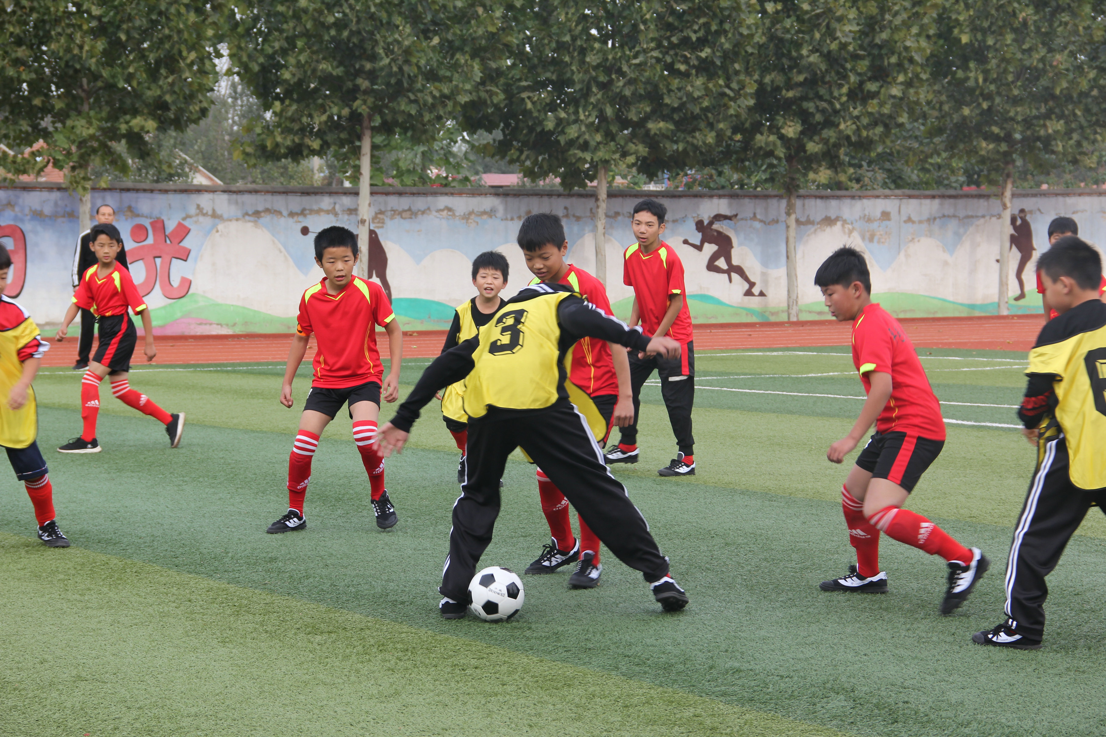 驰骋绿茵场足球争霸,驰骋绿茵场少年梦飞扬