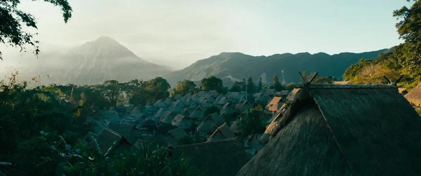 《云南虫谷》中的“蛊虫”是什么是真实存在的吗