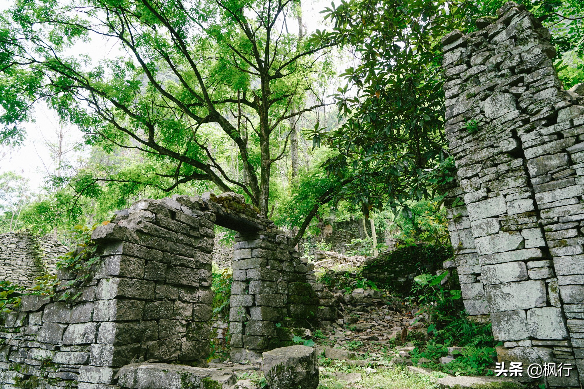 桂林阳朔旅游攻略一天半,最详细桂林阳朔旅游攻略