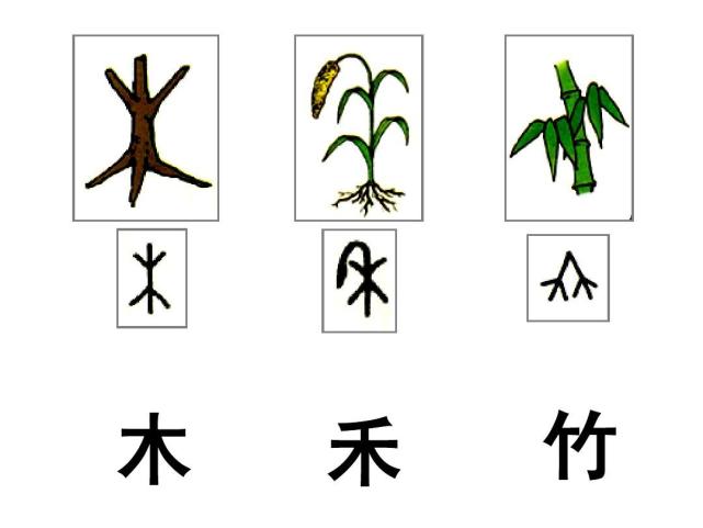 象形文字与符号文字,中国象形文字起源与发展