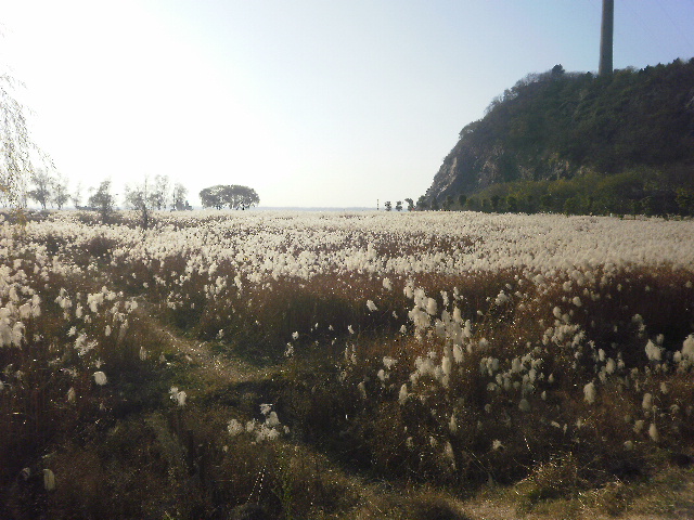 李白说的天门山是哪个天门山,李白望天门山是今天哪里