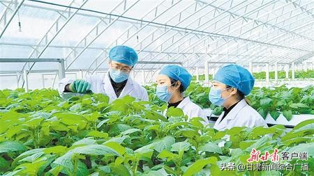 决战决胜脱贫攻坚年,决战决胜脱贫攻坚