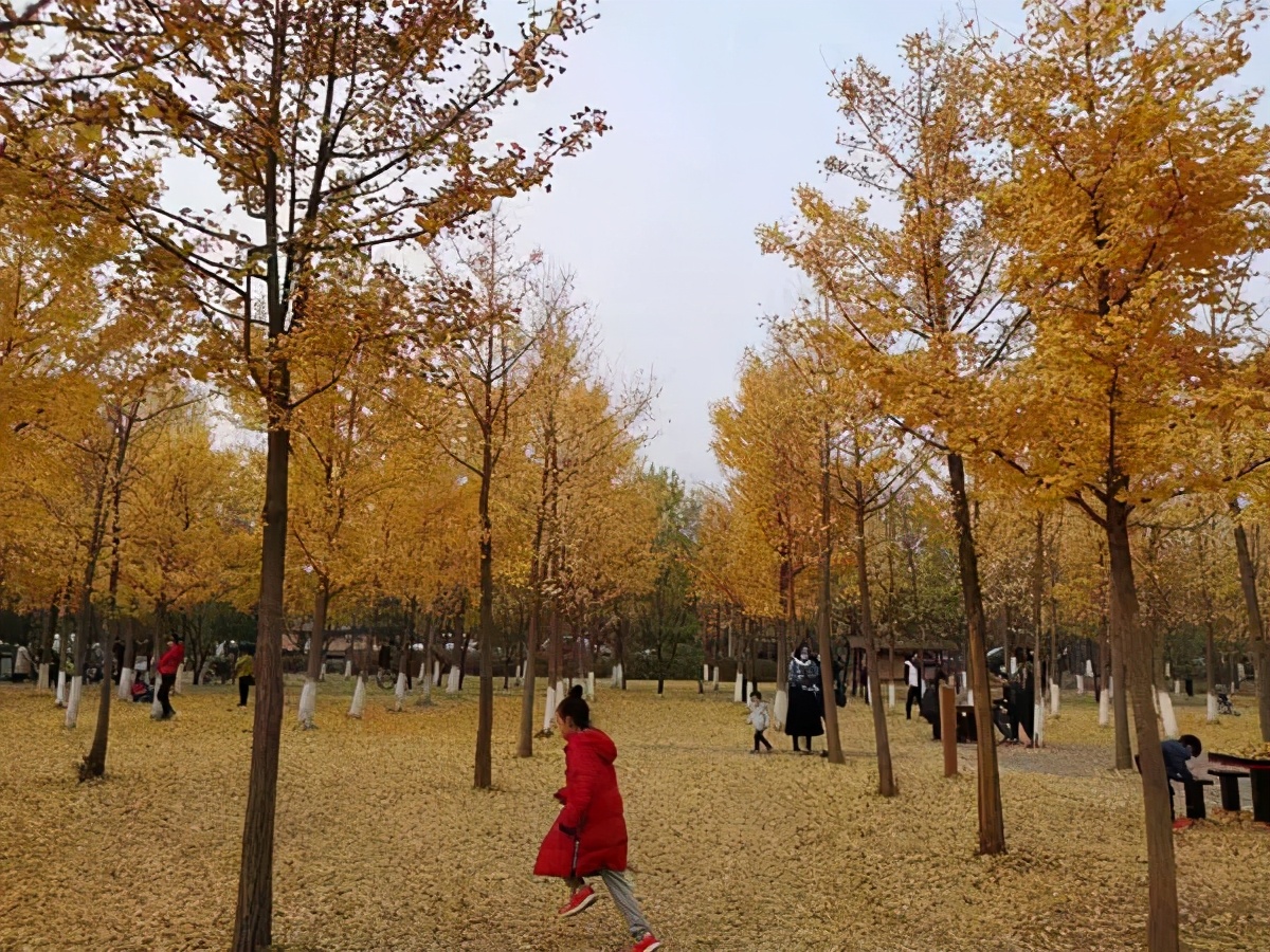 打卡北京十大古迹,打卡北京100个景点