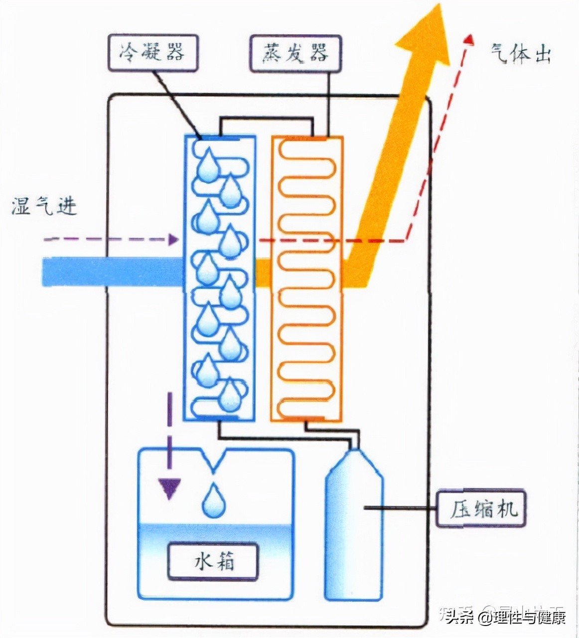 转轮式除湿机和压缩机除湿机对比,蒸汽压缩机的工作原理示意图