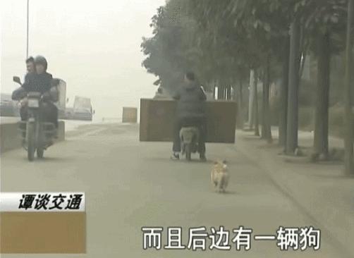 豆瓣9分的国产综艺,国内豆瓣评分9.5以上的综艺