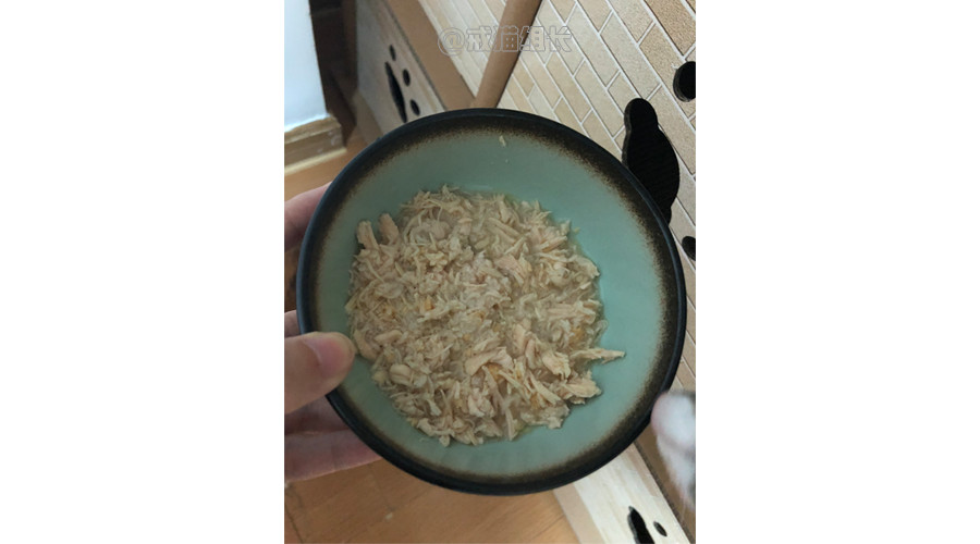 猫咪的主食罐推荐,k9猫咪主食罐头测评