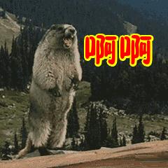 PPT死机怎么恢复最新版本,ppt崩溃了怎么恢复