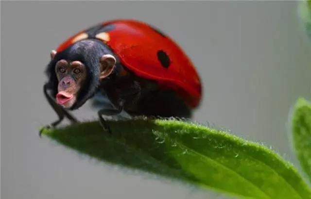 广告新媒体营销,新媒体新营销与广告新理念的关系