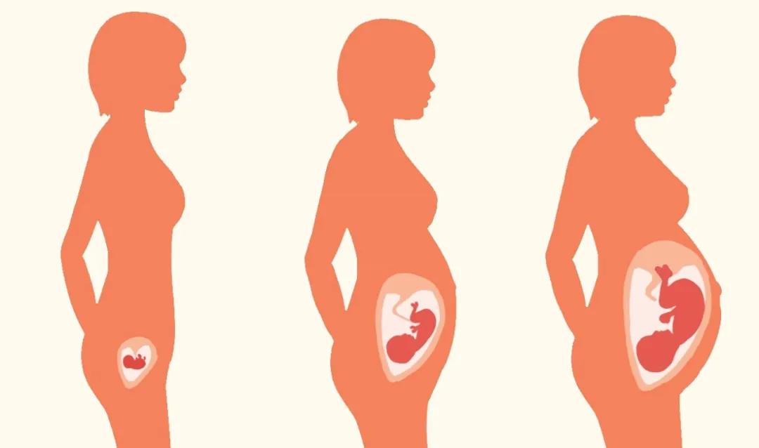 孕期的一些检查,孕期超声检查详解