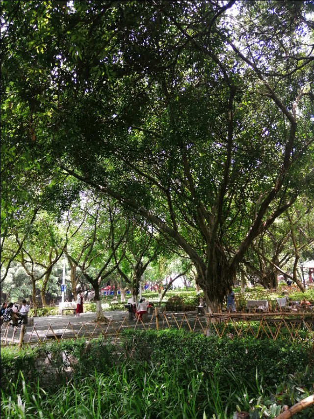 东莞旗峰公园掠影,东莞旗峰公园大体俯视图片