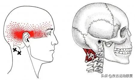 26张图教你提高效率,30张治愈效果图