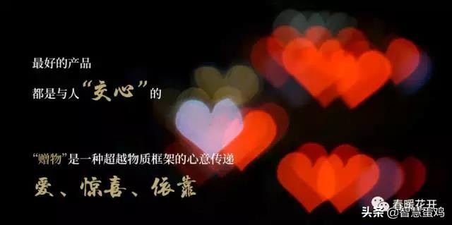 陈春花商业经历,陈春花如何经营生意