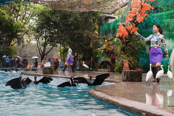 长隆飞鸟乐园湿地精灵,长隆飞鸟公园一日游攻略
