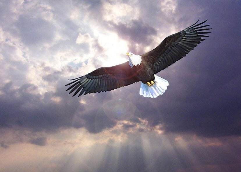 青泽期货培训课程,青泽期货视频讲座