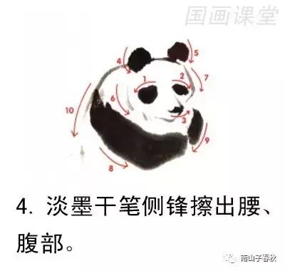 教你画大熊猫水彩画,黑色与白色的大熊猫怎么画才好看