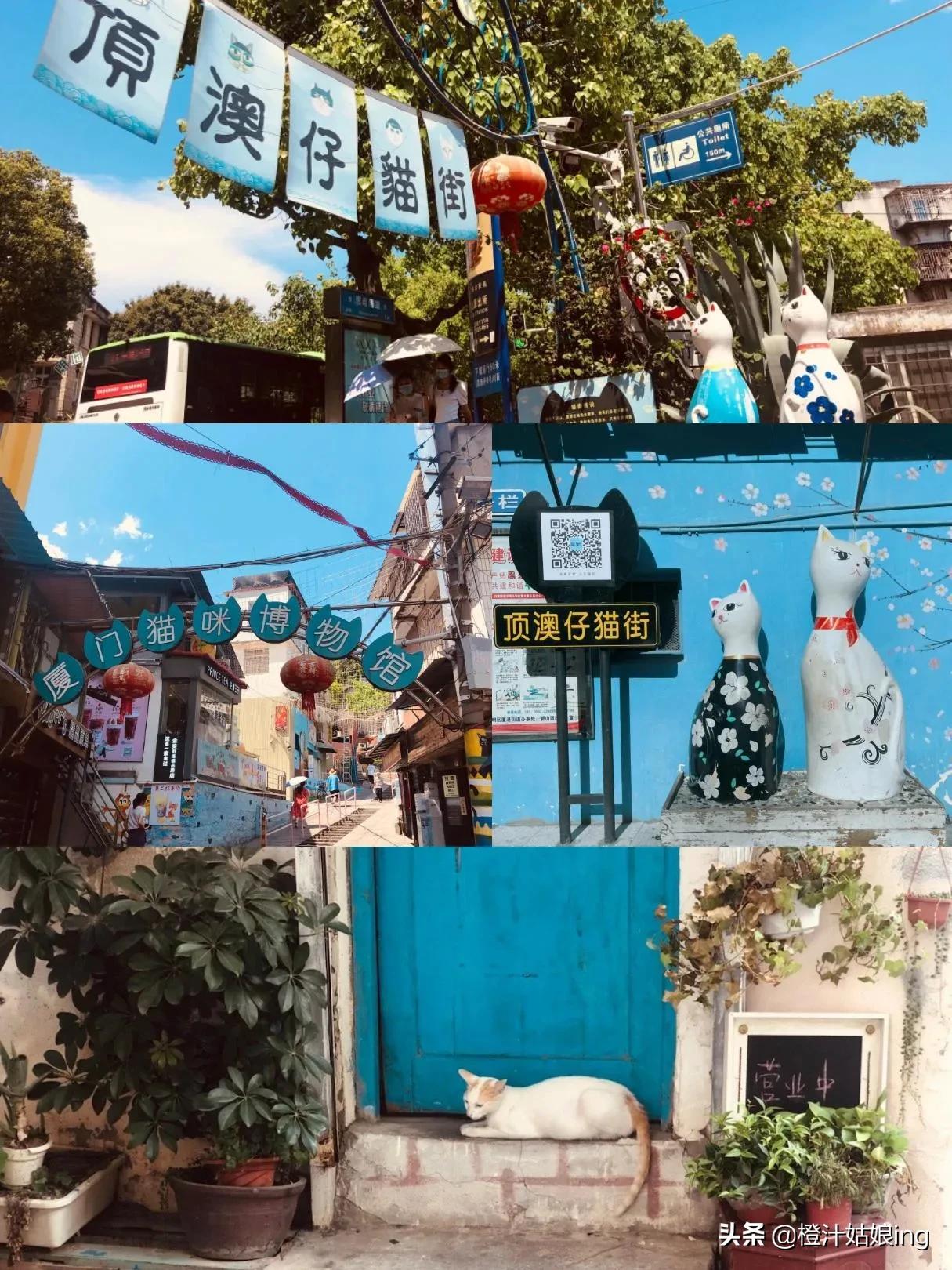 厦门当地旅游团三日游报价表,厦门到西安旅游三日游多少钱啊