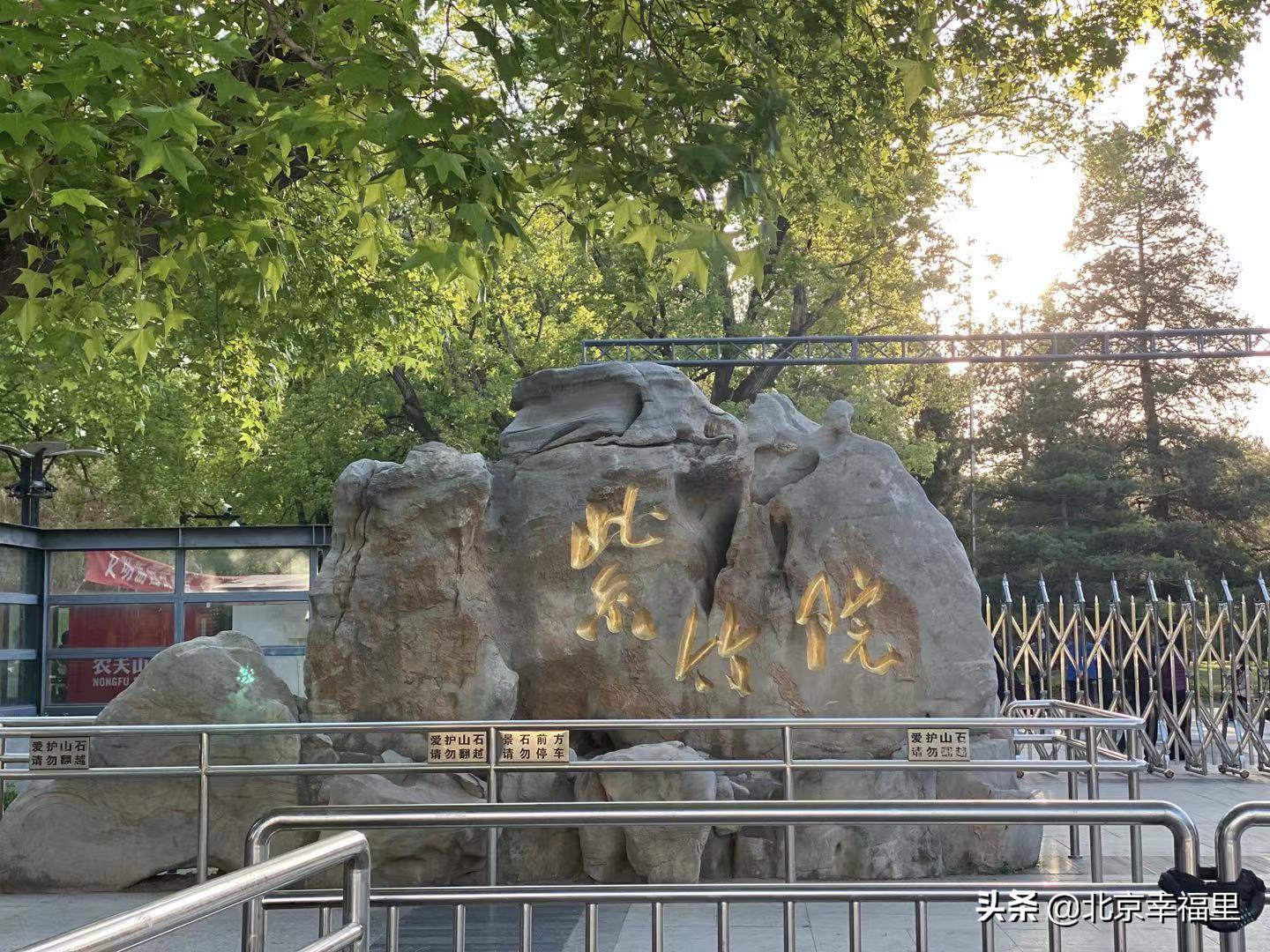 魏公村地铁站南次新楼盘 (魏公村北区房子值得买吗)