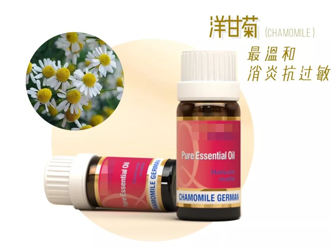 精油入门必备护肤品,平价单方精油推荐面部