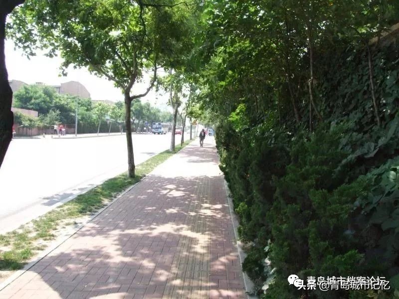 青岛鹰轮牌缝纫机是哪年生产的,青岛老式鹰轮牌缝纫机