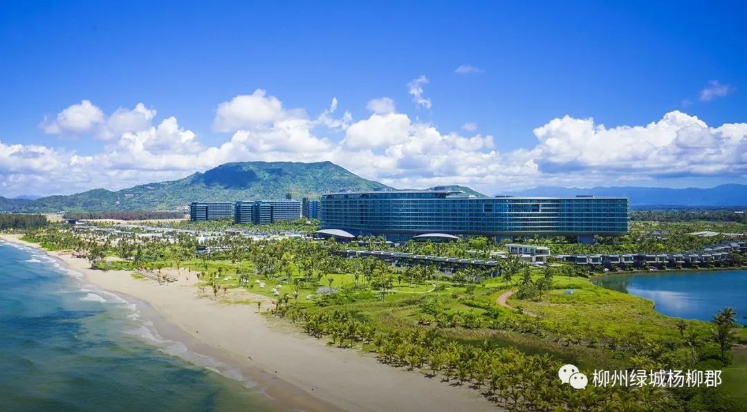 江景区之上的“新王炸”！2019下半场绿城将带来什么“超级物种”？