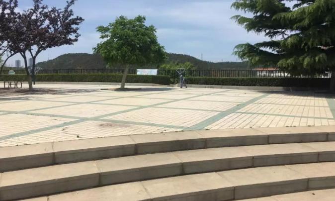 西岗体育馆室内足球场,西岗区新增地块