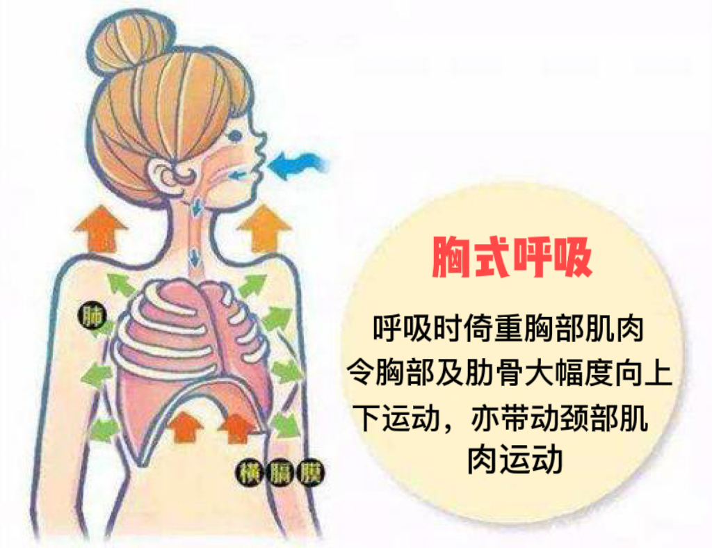 跑步岔气一直疼怎么办,跑步岔气疼是什么原因