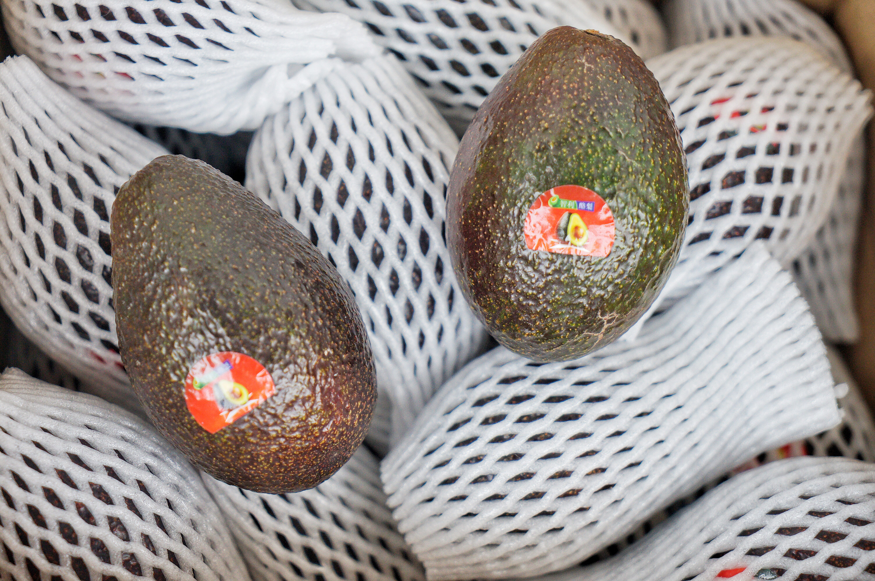 从南美的秘鲁进口水果到中国,秘鲁牛油果是哪里的