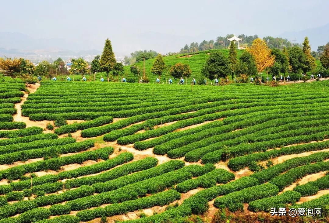 江南极致小众的旅行秘境,自驾江南视频