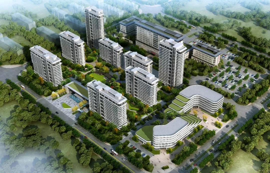 聚焦新旧动能转换聚焦乡村振兴,聚焦枣庄新旧动能转换项目推进会