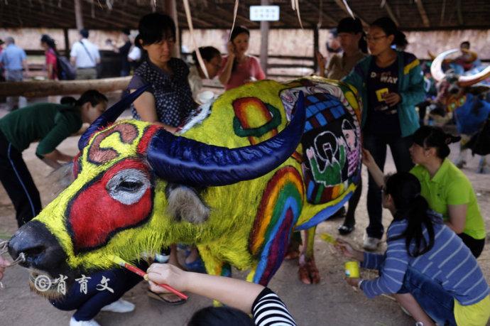 水牛身上画画,水牛身上画了牛郎织女画面