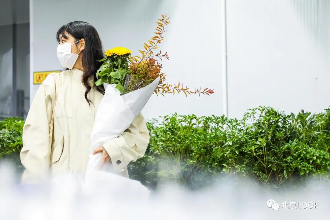 北京最大的露天花卉,北京最大的花卉大观园