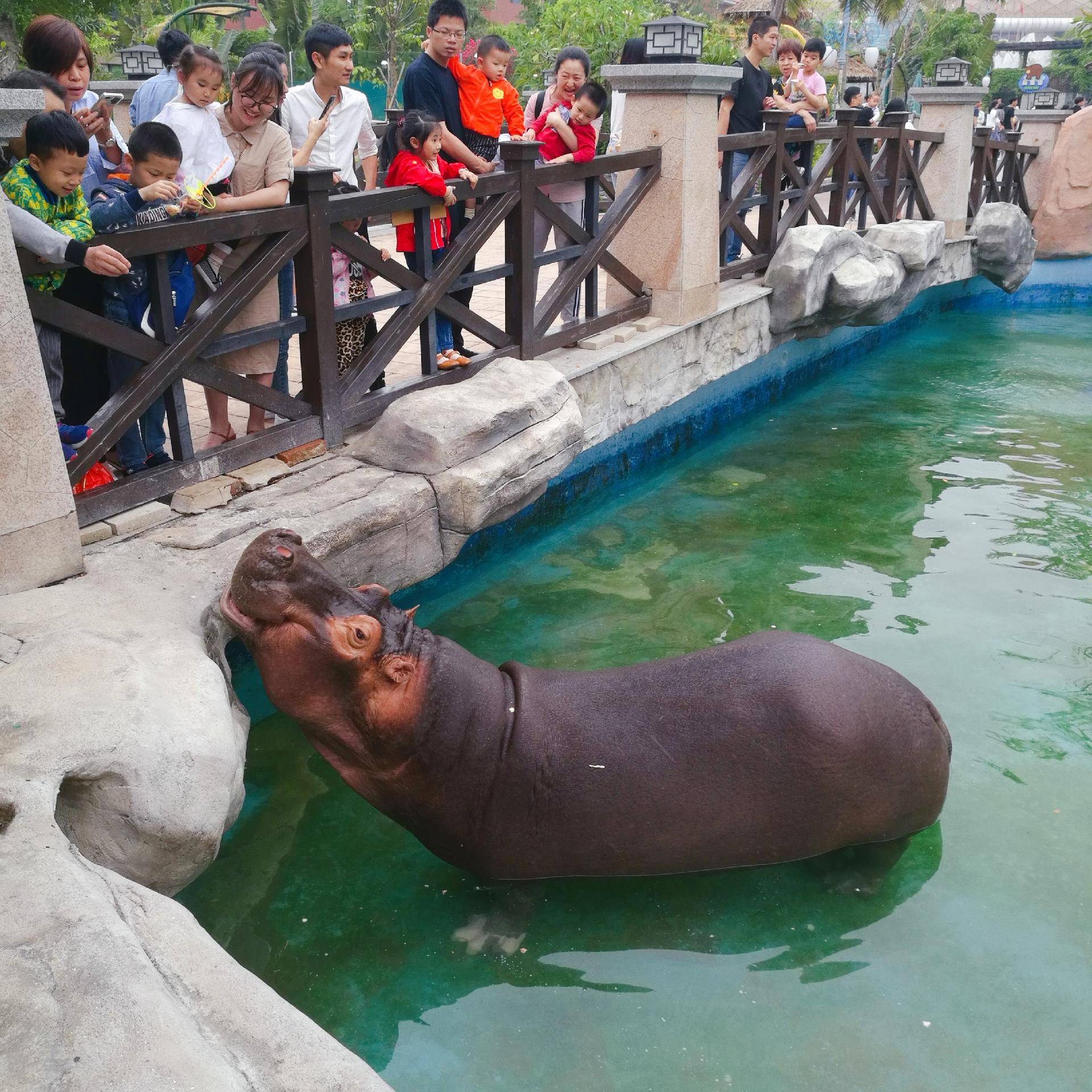 厦门灵玲动物王国游玩时间,五一去哪个动物园玩亲子一日游