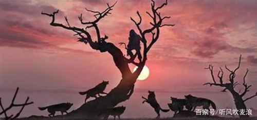 《遥远的乡愁》:老杨有过“背狼”经历,所以练就了一双铁脚板