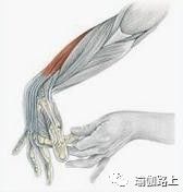 打通胳膊经络锻炼动作和方法,手臂经络不通松解法教程