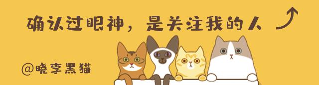 养猫家庭新冠对策全知道，别再听信谣言，也别再想当然了