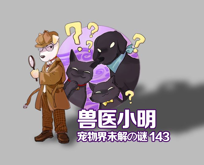 猫咪的胡须突然断了是什么情况 (猫咪胡须掉落怎么回事)