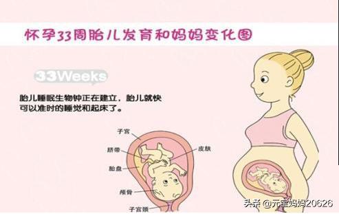 孕33周宝宝发育妈妈变化注意事项,33周胎儿发育标准对照表