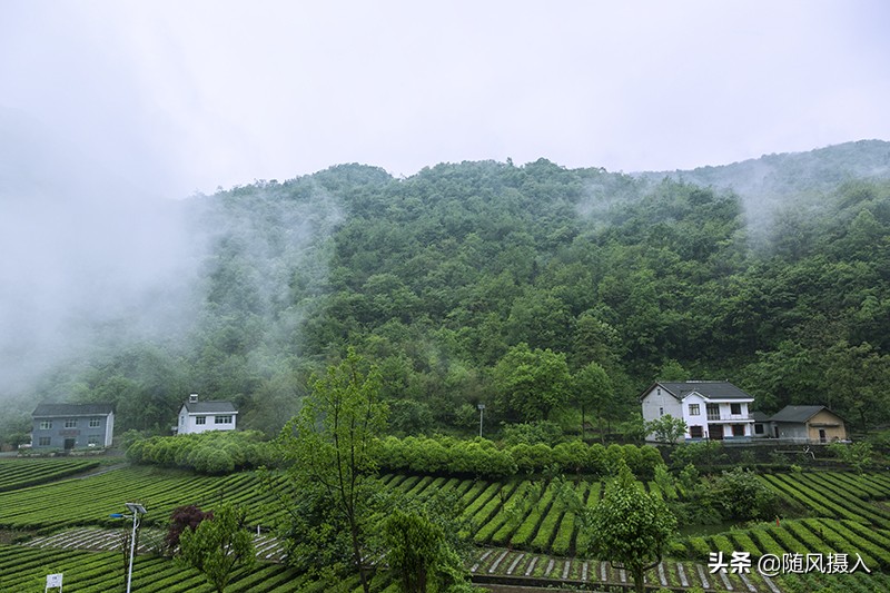 自驾旅记,自驾游柴埠溪大峡谷游记