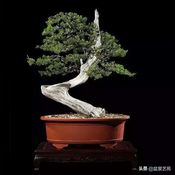 西泠印社砚台最高价拍卖记录,杭州西泠拍卖盆景