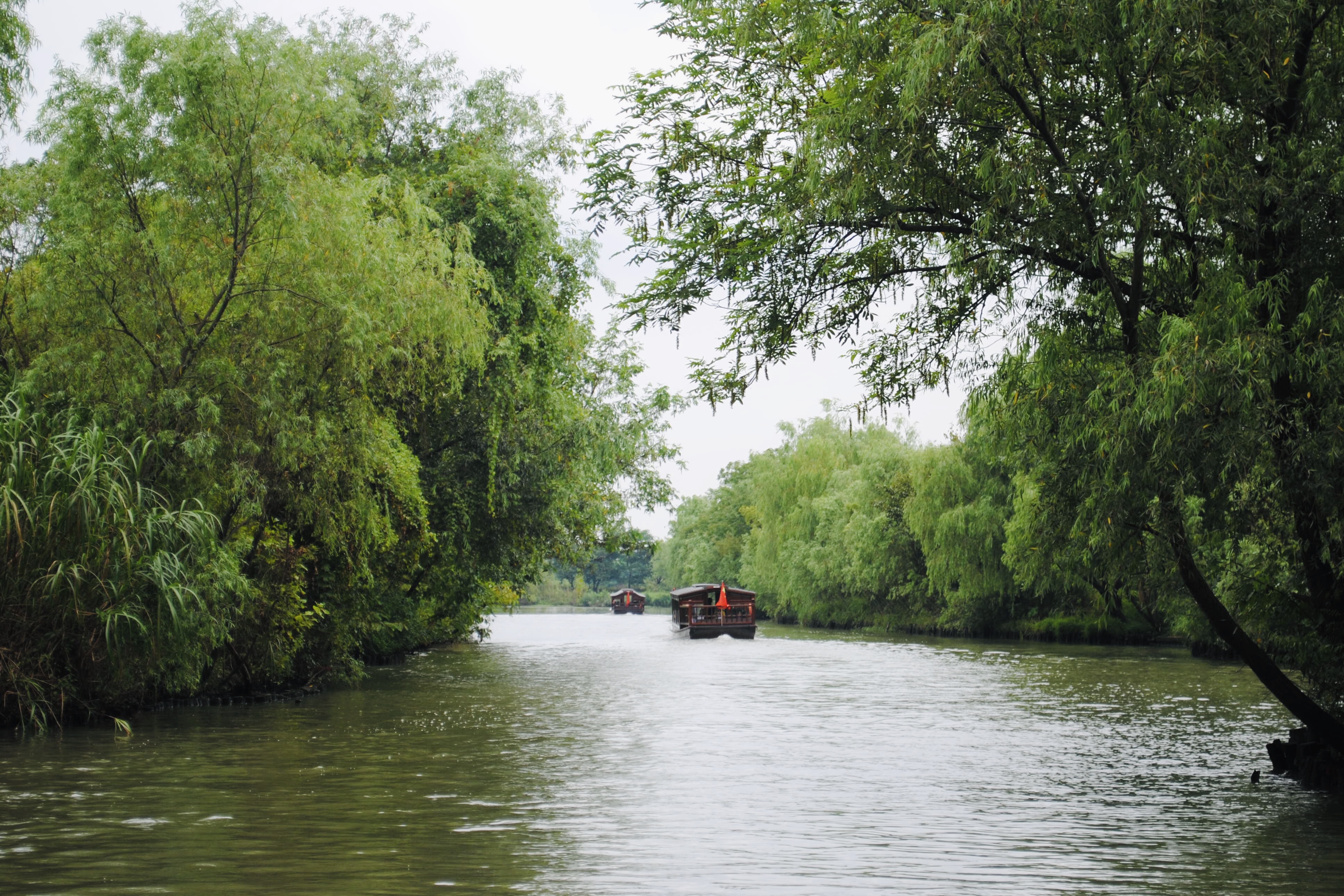 被誉为“杭州之肾”的西溪湿地值得去吗?网友:景色比西湖还美