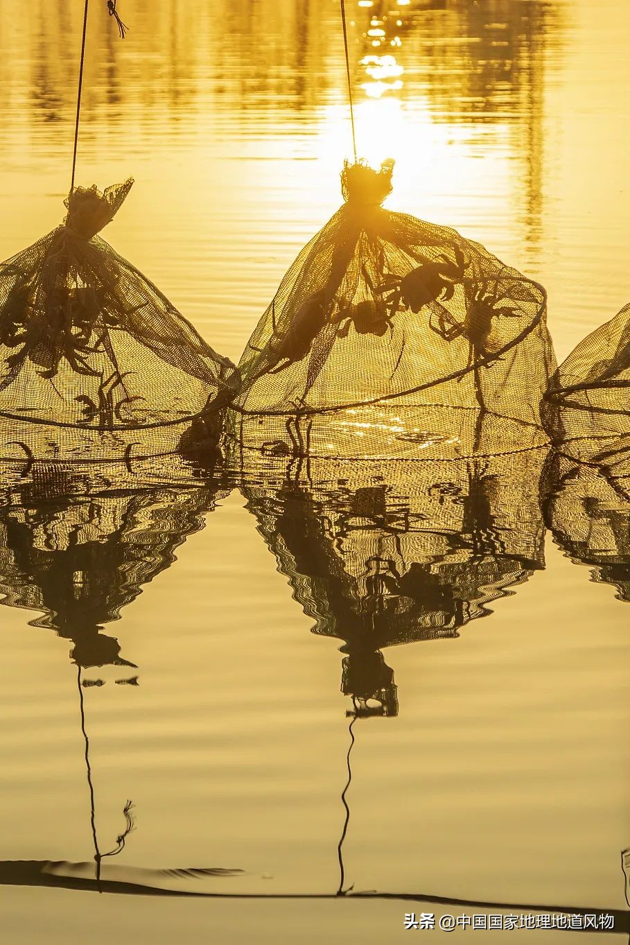 中国夏天地图全图,中国秋色地图