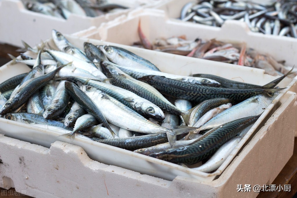 有哪些野生海鱼不能人工养殖的,市面上哪种海鱼纯野生不能养殖的